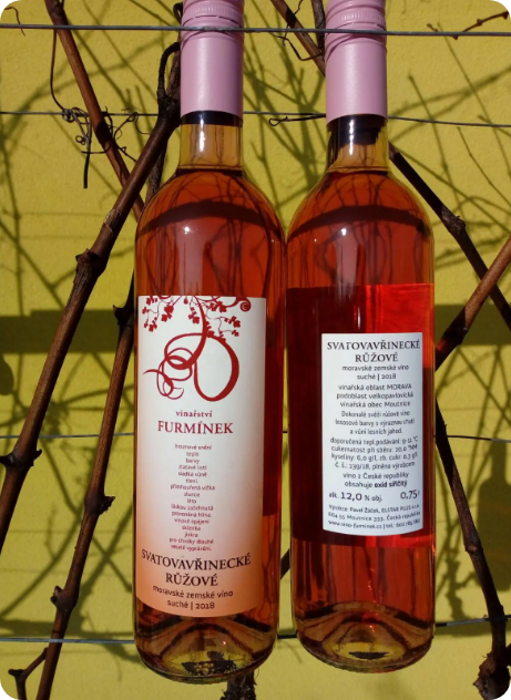 SVATOVAVŘINECKÉ RŮŽOVÉ